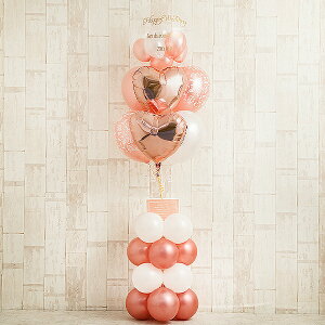 T-203 [YsN×_}XN`[tEGKgX^fBOAW Ă͂ lC  o[Mtg D o[ JXj TvCY  a J[Iׂ