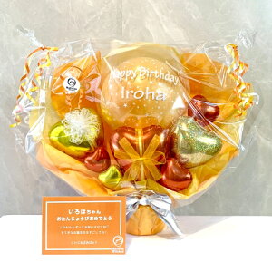 T-535 tbVJ[n[gtIW|bg u^ lC  o[Mtg D o[ JXj TvCY  a Nj o[d 킢 |bv