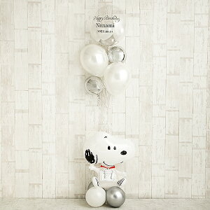 T-C062M nbs[zCgXk[s[ Ă͂ lC  o[Mtg D o[ JXj TvCY  a wEKX Nj o[d 킢 