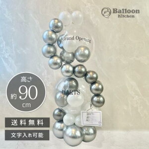 T-S004 Silver ChainrEXX^h u^ lC  o[Mtg D o[ JXj TvCY  a Nj o[d 킢  I