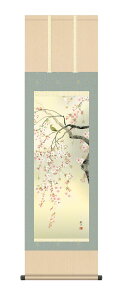 掛軸 掛け軸 花鳥画 春掛け「桜花」 森山観月 <送料無料> 尺三 10年保証 化粧箱収納 和 和室 アート 日本画 花 鳥 サクラ ウグイス 鶯 引越 事務所 店舗 移転 開店 ギフト 祝い 外国人向け土