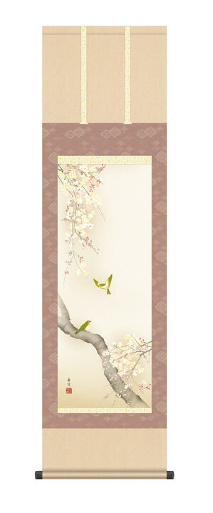 楽天市場】掛け軸 掛軸 春掛け 花鳥画 「桜花に小鳥」西尾香悦 ＜送料 