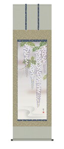 掛軸 掛け軸 花鳥画 春掛け うめ 「藤花」kz5a2136 森山観月 送料無料 尺五 10年保証 和室 和 インテリア アート 日本画 春 桜 春飾り 床の間 床の間飾り 54.5cm×約190cm