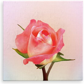 楽天市場 バラ 一輪 絵画 アート 美術品 骨董品 民芸品 ホビーの通販