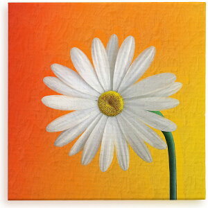 マーガレット 花 絵画の人気商品 通販 価格比較 価格 Com