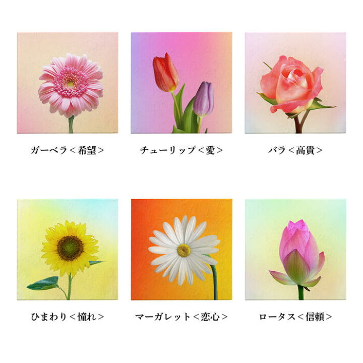 楽天市場 キャンバスアート 花の絵 ロータス 睡蓮 信頼 絵画 アート 送料無料 一輪 キャンバス パネル アート パネル ポスター キャンバス 花言葉 子供 部屋 玄関 リビング 新築祝い 女性 プレゼント 30cm 30cm ハッピー雑貨専門店happymarche