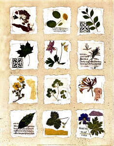 ポスター < アナベル・ヒューイット CP POS-A003 ケントガーデンの断片 Kent Garden Fragments > ポスター アートポスター 額なし 送料無料 庭園