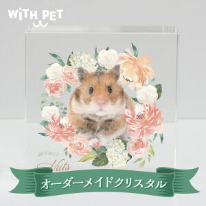 WiTH PET nX^[ ʔv I[_[Ch  NX^ KX `  IV ybg ̎q ʐ^ ybgA  voObY IWi EBYybg 