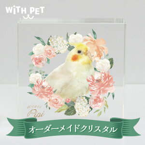 WiTH PET  ʔv NX^ ybg CR IE VnCR IJCR   NX^ KX `  IV ybg ̎q ʐ^ ybgA ybg