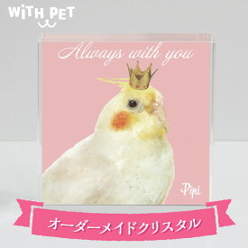 楽天市場 オカメインコ グッズの通販