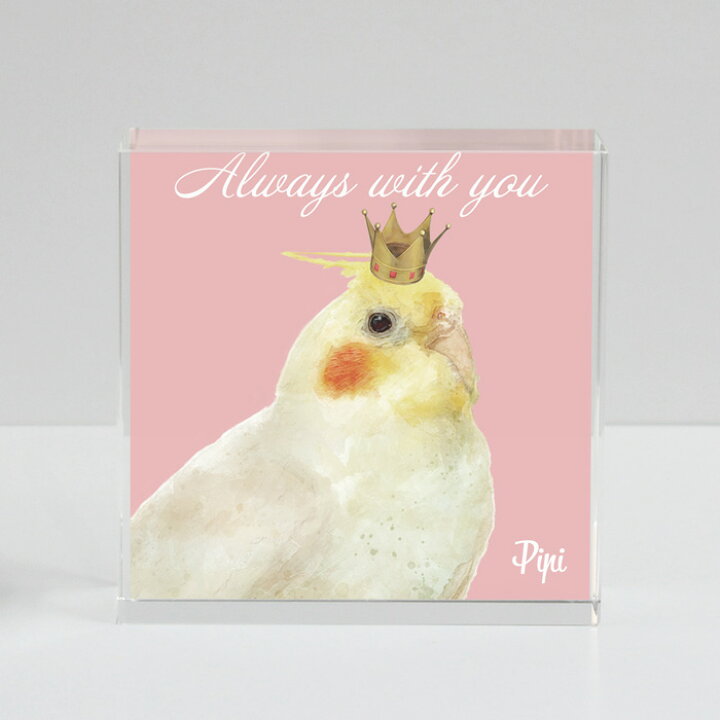 楽天市場】WiTH PET 鳥 グッズ インコ グッズ 文鳥 オカメインコ  