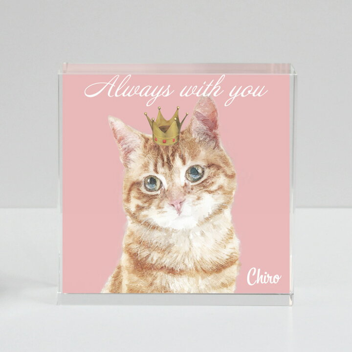 楽天市場 猫 ねこ ネコ グッズ 猫グッズ 雑貨 プレゼント 猫好き プレゼント オーダーメイド インテリア ティアラ クラウン 送料無料 クリスタルガラス 置物 クリスタル 手描き風 おしゃれ オシャレ ギフト プレゼント ぺット 写真 With Pet 名入無料 ハッピー雑貨専門
