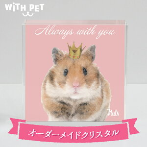 WiTH PET nX^[ ObY G nX^[ G I[_[Ch ybg nX^[ ` eBA NE  NX^ KX u  IV Mtg v[g ؃b