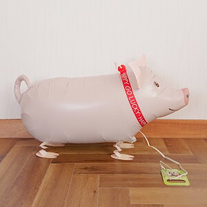 Uo[ u^ Ԃ  PIG K̃u^ o[ D y  z o[ Mtg happy birthday  q V wEKXȂ UD wEȂ o[V