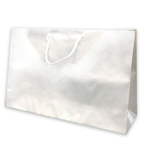 yo[AWw̕^Pƍwsz 񂰑 v[g 蕨 Mtg   v[gp yOP-001z