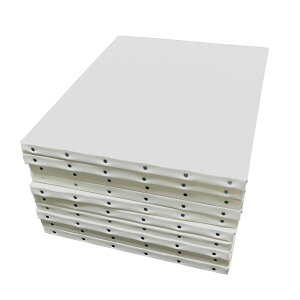 Vic art BbNA[gLoX AD 100 F4×10g ʁEANp ڌ Hi A[g LoX  LoX 333×242mm