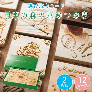 _P5{ yVX[p[SALEz50%OFF^{̐X̖؂̐ςݖ 12s[X IюJ[h ݂ ςݖ  mY SDGs GR Ԕ mߋ  oYj v[g oYj Y