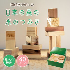 日本の森の木の積み木 40ピース つみき 積み木 送料無料 愛知県産 SDGs エコ 間伐材 知育玩具 おもちゃ 出産祝い 名入れ プレゼント 出産祝い
