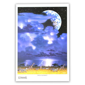 yVX[p[SALE20%OFF VV[  VEV[ CP SS03 SPIRITS OF THE SERENGETI XsbcIuUZQbeB  |X^[ A[g|X^[ zȂ