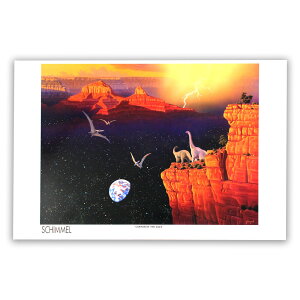 yVX[p[SALE20%OFF VV[  VEV[ CP SS07 CANYON OF THE AGES  |X^[ A[g|X^[ zȂ