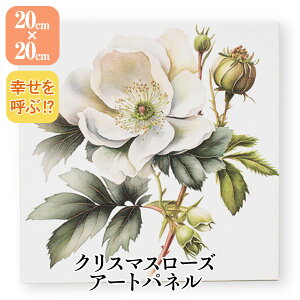 J^A[g NX}X[Y`[t 20cm×20cm A[gpl  fUCIׂ