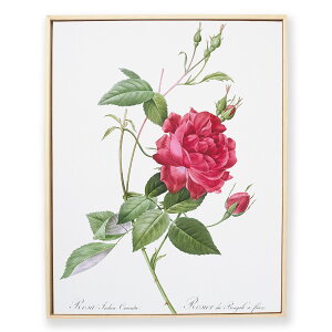 zG sG[ WZt hD[e 40×50cm z LG zA[g G z  Les Roses  o