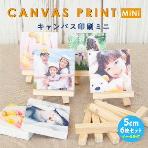 tHgpl ʐ^vg LoX ̂ЂTCŶ킢~j~jLoX 6Zbg C[[t Sf[^e 5cm×5cm ~j ~jLoX IWivg  