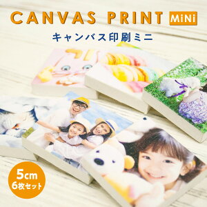 tHgpl ʐ^vg LoX ̂ЂTCŶ킢~j~jLoX 6Zbg Sf[^e 5cm×5cm ~j ~jLoX IWivg LoXvg 