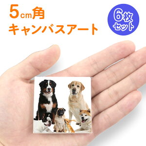 tHgpl ʐ^vg ~j~jTCY LoXvg tHgpl 5cm×5cm LoX 6Zbg C[[t OmF IWivg  ZL candeco L