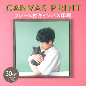 LoX ʐ^ ʐ^pl LoXvg ʐ^ ʐ^ŃA[gpl  uEt[t  30cm×30cm Sf[^e  ܎O ybg L  ^ LoX v[g 