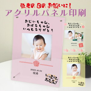 hV̓  v[g  hV̓ ANtHgt[  ʐ^  ObY ANt[ tHgt[ IWi ZL