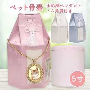 WiTH PET ybg  ybg    5 ey_gt  fUCH@WITH PET EBYybg