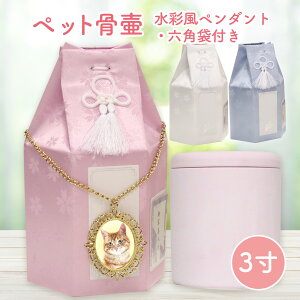 _P5{ yVX[p[SALE10%OFF^WiTH PET ybg  ybg    3 e IWiHy_gt  fUCH AObY  ybg @WITH PET EB