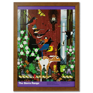 `[[En[p[ CH07 zA[g|X^[uSierra Range-National Parkv Charley Harper 65×47cm |X^[ A[gpl A[gt[ G z  ^yXg[ Ǌ| t[ 