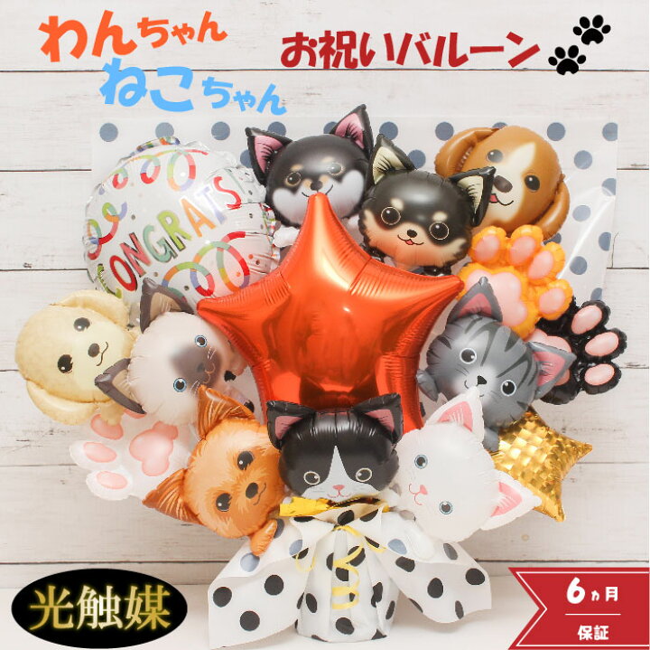 楽天市場 本日ｐ３倍 開店祝い ペット 犬 猫 バルーン バルーンギフト バルーン電報 卓上 名入れ 花 祝電 電報 卒園 入学 フラワー サロン 猫ペットサロン 動物病院 トリミングサロン ドッグカフェ お祝い 光触媒 プレゼント フラワーギフト バルーンフラワー 風船