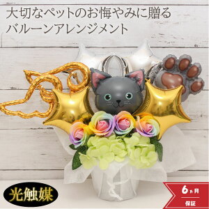 y10/30wzy10/29N[|znEB o[Mtg o[t[ ybg{ ybg  L o[ o[d a@    d A[eBtBV[ t