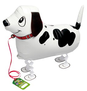 [ʕt UDps[@|C^[wEKX D o[ a p[eB[  v[g JXj 肩킢  ӂ LN^[ o[Xf[ v[