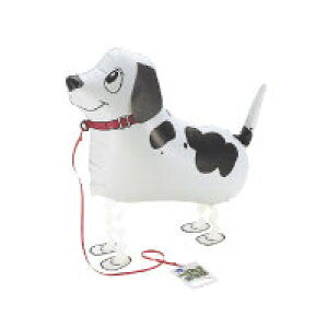 UD|C^[ wEȂ 10D o[ a p[eB[  v[g JXj o^C 肩킢  ӂ LN^[ o[Xf[ v[g 