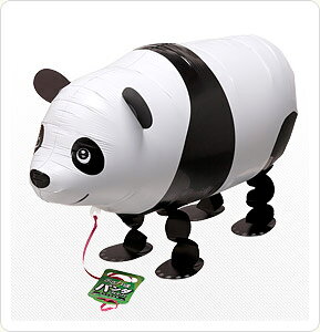 [ʕt UDp_wEKX a o[Mtg D o[p[eB[  v[g JXj 肩킢  ӂ LN^[ o[Xf[