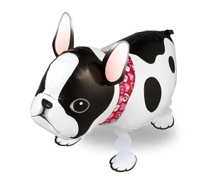 [ʕt UDt`uhbOwEKXD wEKX a t o[ p[eB[  o[Xf[ v[g JXj 肩킢  ӂ