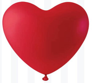 10C`n[gD@Red(bh)y20z(VRS100)D o[ a p[eB[  v[g JXj NX}X 肩킢  ӂ LN^[ o[Xf