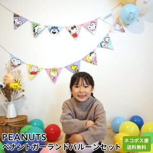 PEANUTSyigK[ho[Zbg a t o[ o[Xf[o[ D p[eB[  v[g JXj 肩킢  ӂ LN^[ o[X