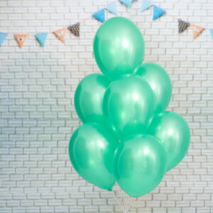 11C` ^bN O[ 100D o[ a p[eB[  v[g JXj 肩킢  ӂ LN^[ o[Xf[ v[g wEKX Mt