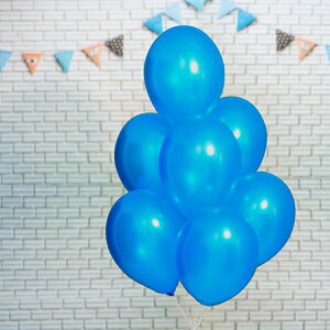 11C` ^bN VA 100D o[ a p[eB[  v[g JXj 肩킢  ӂ LN^[ o[Xf[ v[g wEKX Mtg