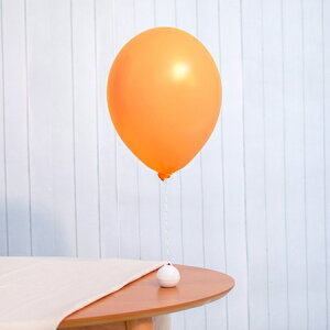 13C` pXe IW 20D o[ a p[eB[  v[g JXj 肩킢  ӂ LN^[ o[Xf[ v[g wEKX Mtg 