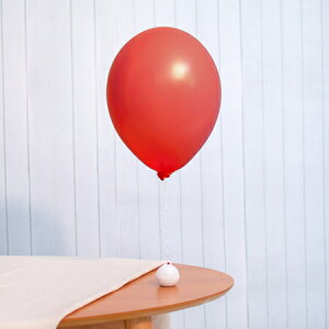 13C` pXe bh 20D o[ a p[eB[  v[g JXj 肩킢  ӂ LN^[ o[Xf[ v[g wEKX Mtg E