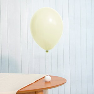 13C` pXe oj 20D o[ a p[eB[  v[g JXj 肩킢  ӂ LN^[ o[Xf[ v[g wEKX Mtg E