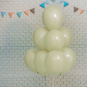 13C` pXe oj 100D o[ a p[eB[  v[g JXj 肩킢  ӂ LN^[ o[Xf[ v[g wEKX Mtg 