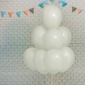 11C` pXe zCg 100D o[ a p[eB[  v[g JXj 肩킢  ӂ LN^[ o[Xf[ v[g wEKX Mtg
