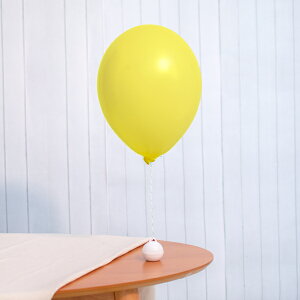 13C` pXe CG[ 20D o[ a p[eB[  v[g JXj 肩킢  ӂ LN^[ o[Xf[ v[g wEKX Mtg 